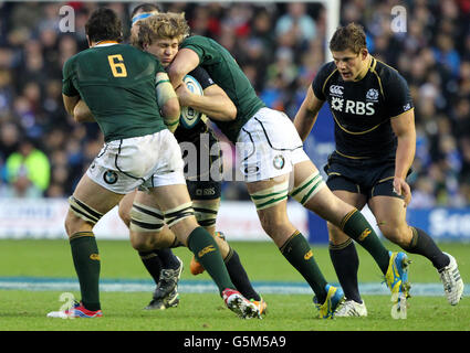 Rugby Union - EMV-Test - Schottland / Südafrika - Murrayfield. Scotlands David Denton fordert den Südafrikaner Francois Louw beim EMC Test Match in Murrayfield, Edinburgh, heraus. Stockfoto