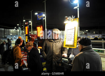 Windhunde - Williamhill.com St Leger Finale - Wimbledon Greyhound Stadium Stockfoto