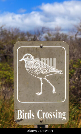 Vögel, Crossing Schild an der Kealia National Wildlife Refuge auf Maui Stockfoto