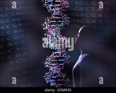 Detail eines DNA-Doppelhelix-Moleküls. DNA (Desoxyribonukleinsäure) ist ein Molekül, das meisten des genetischen Codes trägt Stockfoto