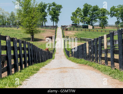 Der Weg auf der Rückseite des Hofes durch klapprigen schwarzen Zäune Stockfoto