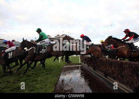 Horse Racing - Sportingbet Winter Festival - Hennessy Gold Cup Tag - Newbury Racecourse Stockfoto