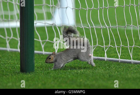 Fußball - Pokal - zweite Runde - Coventry City V Morcambe - Ricoh Arena Stockfoto