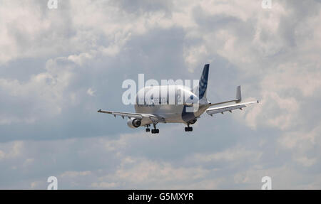 Hamburg, Deutschland - 18. Juni 2016: A Beluga Supertransporter landet auf dem Airbus-Werk in Hamburg-Finkenwerder Stockfoto