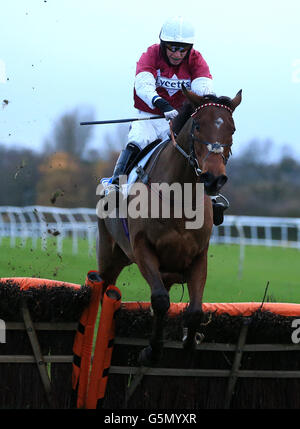 Pferderennen - Leicester Racecourse. Tealissio von Dave Crosse gewinnt das Burton Overy Novices' Hurdle Race Stockfoto