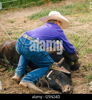 Cowboy binden Rinder auf ranch Stockfoto