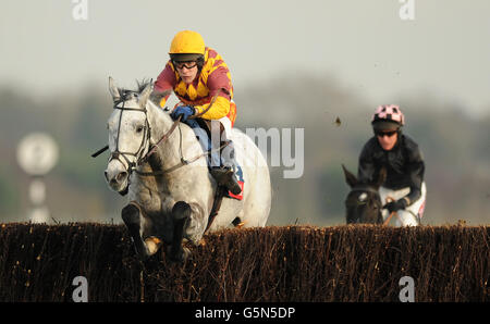 Dynaste von Jockey gefahren Tom Scudamore springt die letzte, um weiter zu fahren und die Fuller's London Pride Novices' Chase während des Sportingbet Winter Festivals auf der Rennbahn Newbury zu gewinnen. Stockfoto