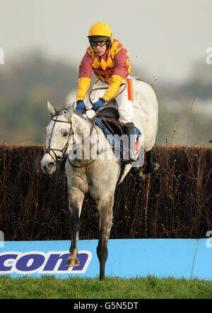 Dynaste von Jockey gefahren Tom Scudamore springt die letzte, um weiter zu fahren und die Fuller's London Pride Novices' Chase während des Sportingbet Winter Festivals auf der Rennbahn Newbury zu gewinnen. Stockfoto