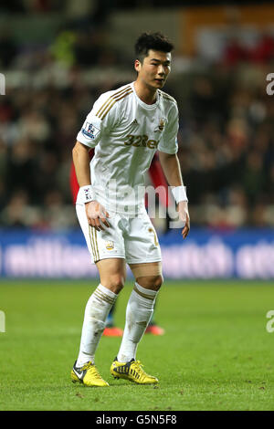 Fußball - Barclays Premier League - Swansea City gegen West Bromwich Albion - Liberty Stadium Stockfoto