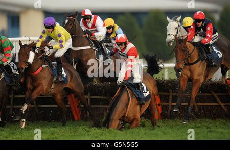 Horse Racing - Sportingbet Winter Festival - Tag 2 - Newbury Racecourse Stockfoto