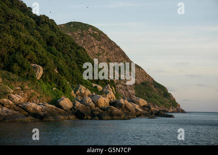 Queimada Grande Insel bekannt als Schlange Heimatinsel Giftschlange Jararaca Ilhoa Bothrops Insularis Küste von Brasilien. Stockfoto