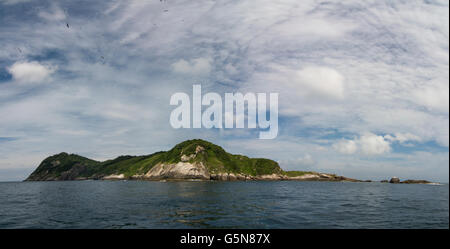 Queimada Grande Insel bekannt als Schlange Heimatinsel Giftschlange Jararaca Ilhoa Bothrops Insularis Küste von Brasilien. Stockfoto