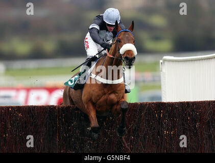 Pferderennen Sie - 2012 der internationalen Meeting - Tag eins - Cheltenham Racecourse Stockfoto