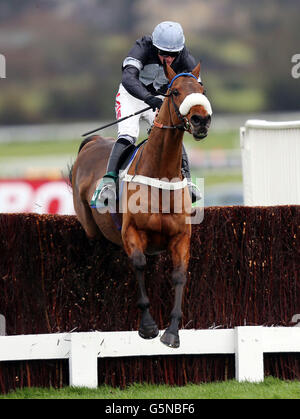 Super Duty von Jason Maguire geritten springt die letzten auf dem Weg zum Sieg in der Shloer Novices & Acute; Chase während des ersten Tages des Internationalen Treffens auf der Cheltenham Rennbahn, Cheltenham. Stockfoto