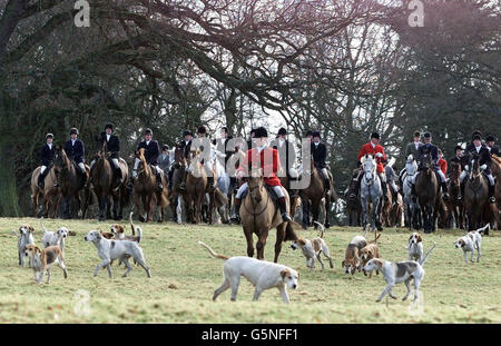 Kelso Hunt Stockfoto