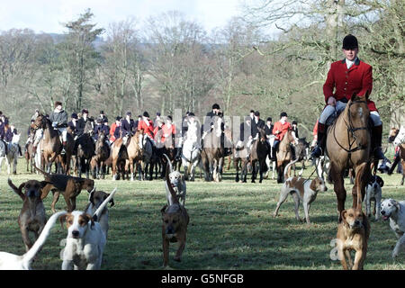 Kelso Hunt Stockfoto