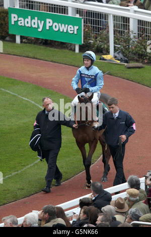 Fingal Bay von Richard Johnson vor der Fahrt in der geritten Stahlplatte Und Abschnitte Novizen' Chase Stockfoto