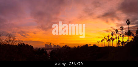 Los Angeles Downtown Panorama Stockfoto