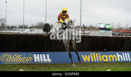 Dynaste, der vom Jockey Tom Scudamore geritten wird, springt den letzten, der geht und gewinnt die Chase der Knauto-Star Feltham-Novizen (in Memory of Nigel Clark) Stockfoto