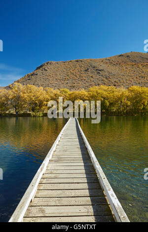 Steg am Segler schneiden im Herbst, Lake Benmore, Waitaki Valley, North Otago, Südinsel, Neuseeland Stockfoto