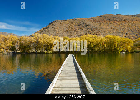 Steg am Segler schneiden im Herbst, Lake Benmore, Waitaki Valley, North Otago, Südinsel, Neuseeland Stockfoto