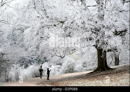 Die Menschen betrachten die Bäume im Westonburt Arboretum in Gloucestershire, da kalte Temperaturen zu Frost führen. Stockfoto