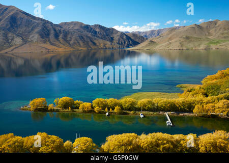 Segler im Herbst schneiden Lake Benmore, Waitaki Valley, North Otago, Südinsel, Neuseeland Stockfoto