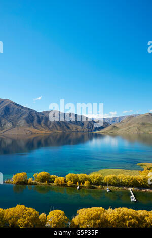 Steg am Segler schneiden im Herbst, Lake Benmore, Waitaki Valley, North Otago, Südinsel, Neuseeland Stockfoto