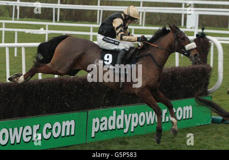 Tidal Bay mit Ruby Walsh gewinnt die Lexus Chase während des Leopardstown Christmas Festivals auf der Leopardstown Racecourse, Dublin, Irland. Stockfoto