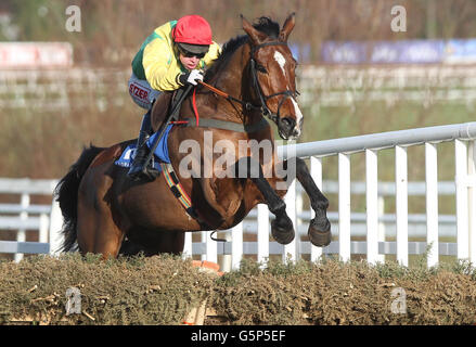 Sizing Gold von Andrew Lynch gewinnt die Ryans Cleaning Maiden Hürde während des Leopardstown Christmas Festivals auf der Leopardstown Racecourse, Dublin, Irland. Stockfoto