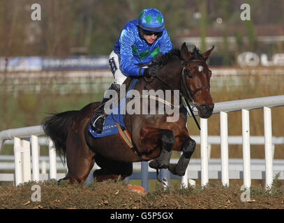 Hurricane Fly von Ruby Walsh geritten gewinnt die Isabraq Festival Hürde während des Leopardstown Christmas Festival auf Leopardstown Racecourse, Dublin, Irland. Stockfoto