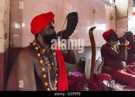 Guwahati, Assam, Indien. 22. Juni 2016. Ein Tantrik Baba bläst ein Horn während der laufenden Ambubachi Mela (Festival). Die Ambubachi Mela (Ambubachi Festival und Schicksal) ist eine jährliche hinduistische Festival im Kamakhya Tempel in Guwahati, Assam, Indien. Diese jährliche Mela wird gefeiert, während der Monsunzeit, die während der Assamese Monat Ahaar, um die Mitte des Juni fällt wenn Sonne Transit auf dem Tierkreis Mithuna, wenn der Fluss Brahmaputra Flut wird. Es ist die Feier des jährlichen Menstruation Kurses der Hindu-Göttin Kamakhya. Es wird vermutet, dass die Vorsitzende Göttin der Tem Stockfoto