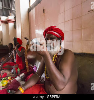 Guwahati, Assam, Indien. 22. Juni 2016. Ein Tantrik Baba bläst ein Horn während der laufenden Ambubachi Mela (Festival). Die Ambubachi Mela (Ambubachi Festival und Schicksal) ist eine jährliche hinduistische Festival im Kamakhya Tempel in Guwahati, Assam, Indien. Diese jährliche Mela wird gefeiert, während der Monsunzeit, die während der Assamese Monat Ahaar, um die Mitte des Juni fällt wenn Sonne Transit auf dem Tierkreis Mithuna, wenn der Fluss Brahmaputra Flut wird. Es ist die Feier des jährlichen Menstruation Kurses der Hindu-Göttin Kamakhya. Es wird vermutet, dass die Vorsitzende Göttin der Tem Stockfoto