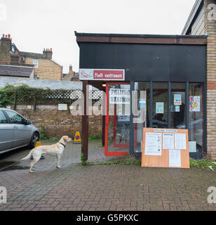 Streatham, London, UK. 23. Juni 2016. Ein Hund wartet geduldig, während sein Besitzer ihre Stimme in das EU-Referendum in der St. Alban-Kirche wirft. Bildnachweis: Malcolm Park Leitartikel/Alamy Live-Nachrichten. Stockfoto