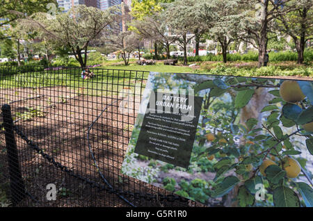 Batterie Urban Farm in Battery Park, New York, ist eine pädagogische Wald und Gemüse Farm für Studenten Stockfoto
