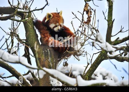Winterwetter - 21. Jan Stockfoto