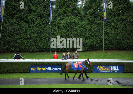 Horse Racing - William Hill Winter Festival - Tag 2 - Kempton Park Rennbahn Stockfoto