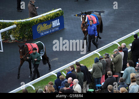 Pferderennen - William Hill Winter Festival - Tag Zwei - Kempton Park Racecourse. Racegoers beobachten, wie Pferde im Ring vor der Parade gezeigt werden Stockfoto