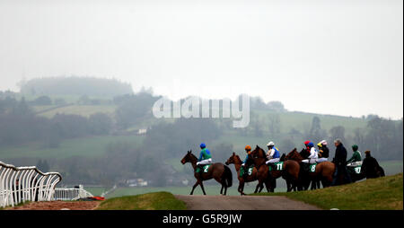 Old Magic unter der Leitung von Paul Moloney führt das Feld auf die Rennstrecke für die Handicap-Hürde Freebets.co.uk während des January Sale Race Day auf der Chepstow Racecourse, Monmouthshire. Stockfoto