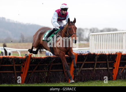 Pferderennen - Januar Sale Race Day - Chepstow Racecourse. Awbeg Massini unter Michael Byrne in der Harold R Johns Monmouthshire Maiden-Hürde auf der Chepstow-Rennstrecke, Dienstag, 8 2013. Januar. Stockfoto