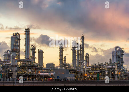 Öl-Raffinerie am Hafen in Rotterdam, Niederlande Stockfoto
