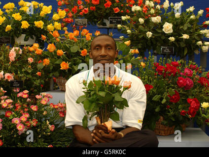 Linford Christie mit der Rose of the Year, 'Simply the Best', gezüchtet von Roses UK, auf der Chelsea Flower Show in London. Es wurde als die Blume der Commonwealth Games in Manchester gewählt. Stockfoto