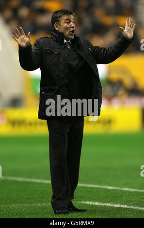 Fußball - npower Football League Championship - Wolverhampton Wanderers gegen Blackburn Rovers - Molineux. Der neue Manager von Wolverhampton Wanderers, Dean Saunders, schreit während des npower Football League Championship-Spiels in Molineux, Wolverhampton. Stockfoto