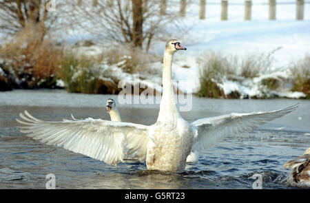 Winterwetter - 16. Januar Stockfoto