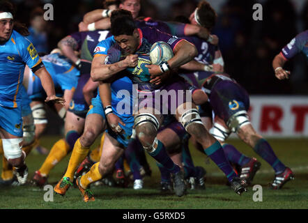 Dragons Toby Faletau wird von Charlie Davies von Wespen während des Amlin Challenge Cup in der Rodney Parade, Newport, angegangen. Stockfoto