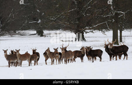 20. Jan Winterwetter Stockfoto