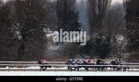 Pferderennen Sie-Wolverhampton Racecourse Stockfoto