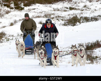 Winterwetter - 23. Jan Stockfoto