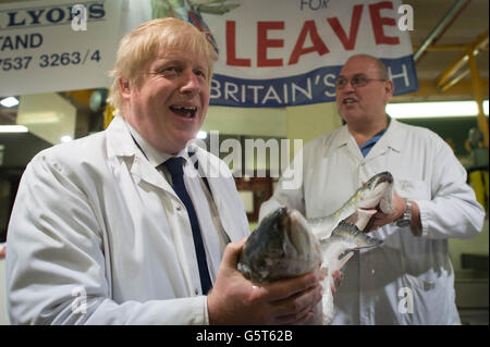 Boris Johnson (links) hält ein Wildlachs an Billingsgate Fischmarkt in London mit Portier Greg Essex, Onkel von TV-Moderatorin Joey Essex, am letzten Tag der Kampagne vor Donnerstag EU-Referendum. Stockfoto