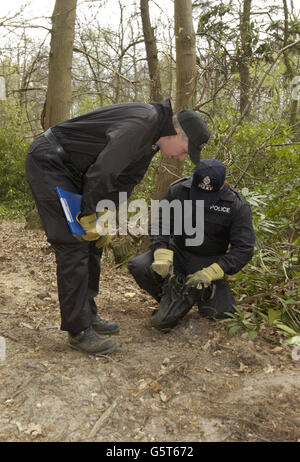 Die Polizei von Surrey überprüft den Inhalt einer ausrangierten Handtasche während ihrer Suche im Wald in der Nähe von Cobham, Surrey, auf Hinweise bezüglich der Enttäuschung der Walton-on-Thames-Schülerin Amanda Dowler, 13 Jahre. * ... Amanda, auch bekannt als Milly, wurde zuletzt auf ihrem Heimweg von der Schule in der Nähe des Bahnhofs Walton-on-Thames gesehen. Stockfoto